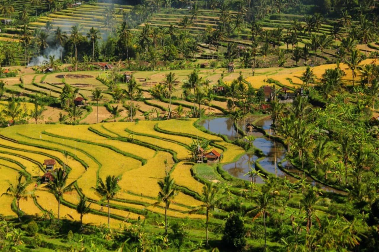 Bali Munduk Delux Bungalow Villa Singaraja Exteriör bild