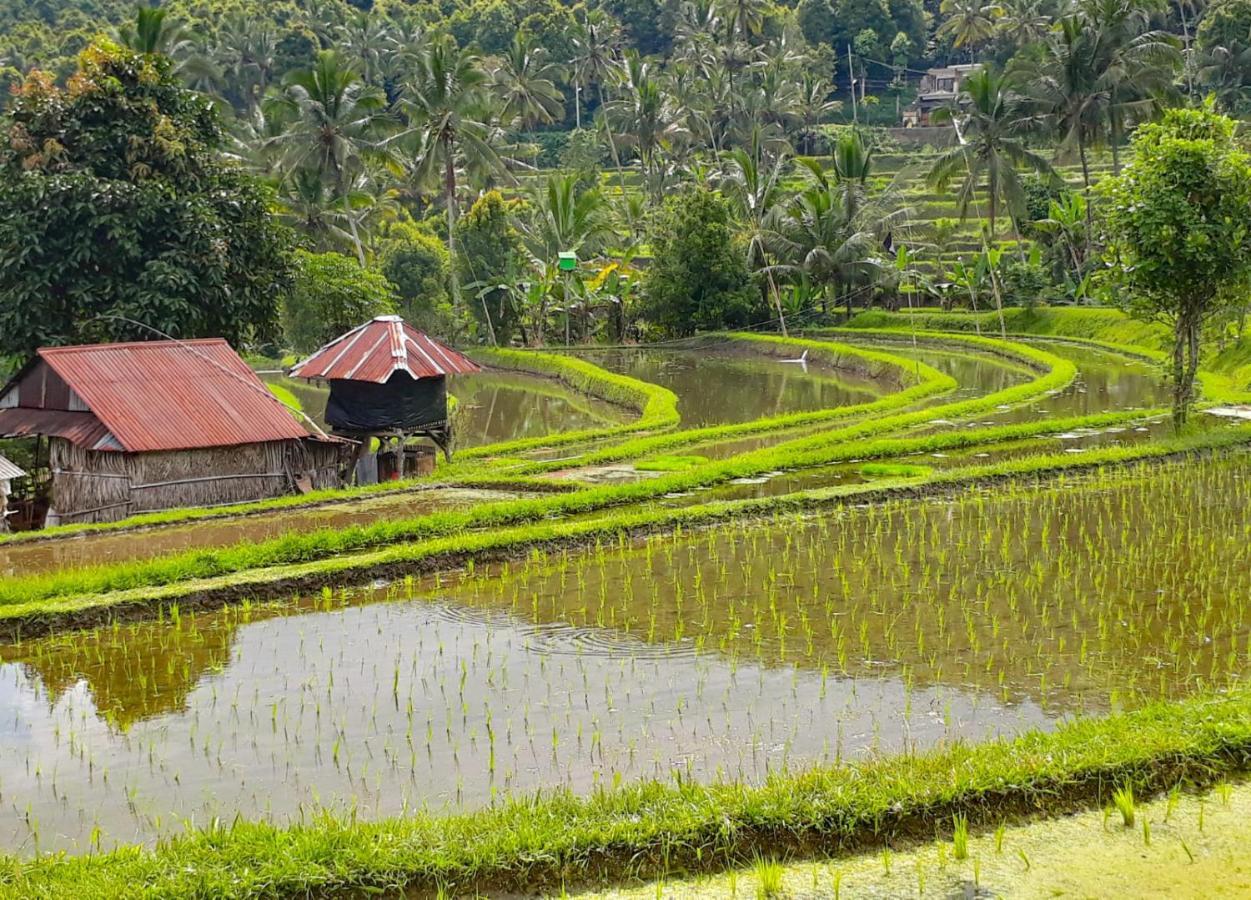 Bali Munduk Delux Bungalow Villa Singaraja Exteriör bild