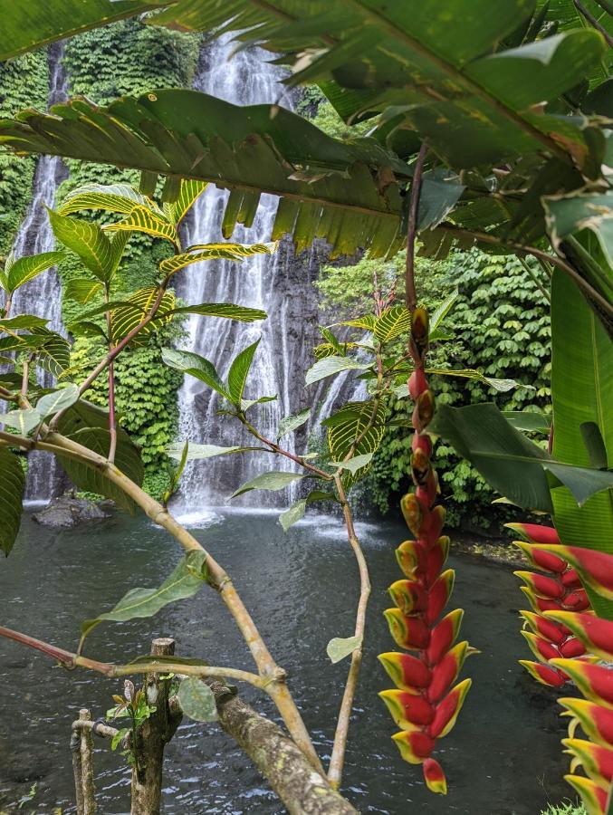 Bali Munduk Delux Bungalow Villa Singaraja Exteriör bild