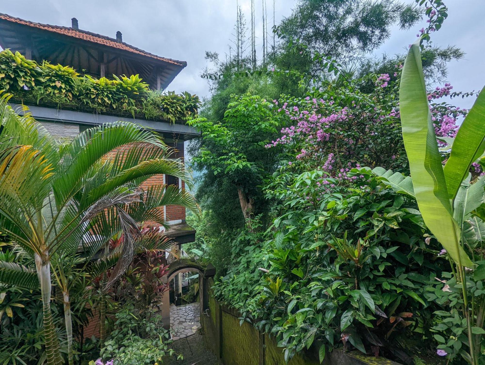 Bali Munduk Delux Bungalow Villa Singaraja Exteriör bild