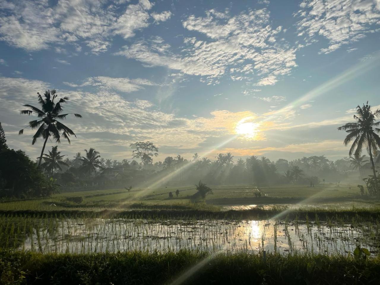 Bali Munduk Delux Bungalow Villa Singaraja Exteriör bild